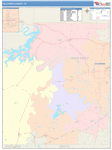 Palo Pinto County Wall Map Color Cast Style